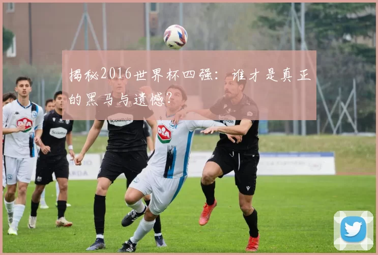 揭秘2016世界杯四强:谁才是真正的黑马与遗憾?