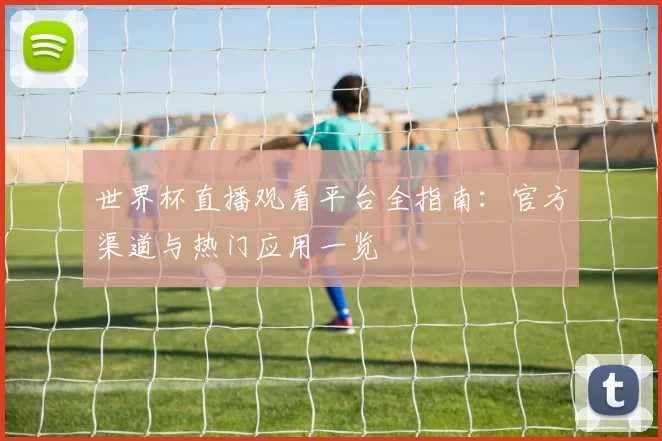 世界杯直播观看平台全指南:官方渠道与热门应用一览