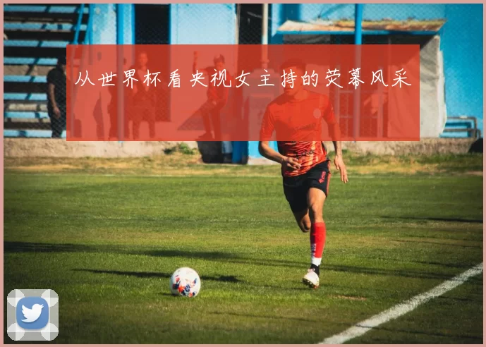 从世界杯看央视女主持的荧幕风采
