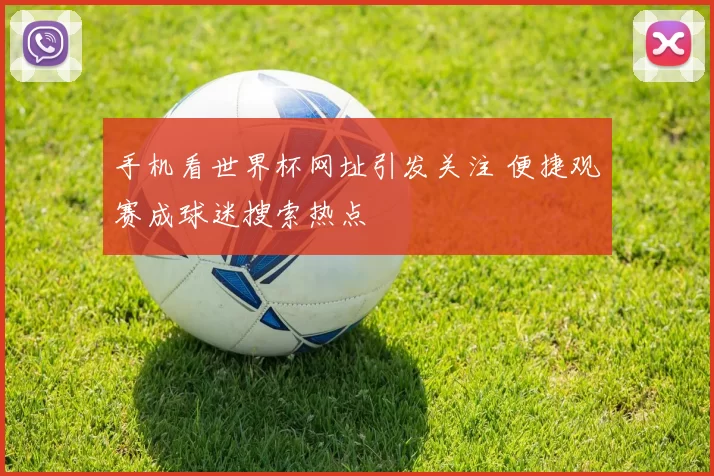 手机看世界杯网址引发关注 便捷观赛成球迷搜索热点