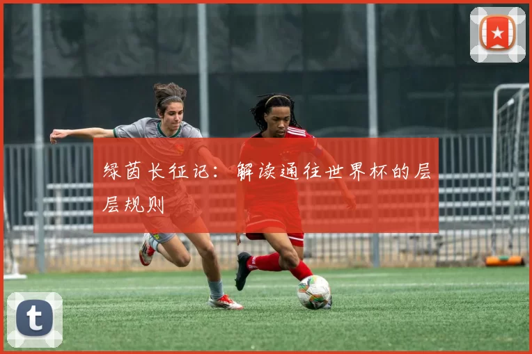 绿茵长征记:解读通往世界杯的层层规则