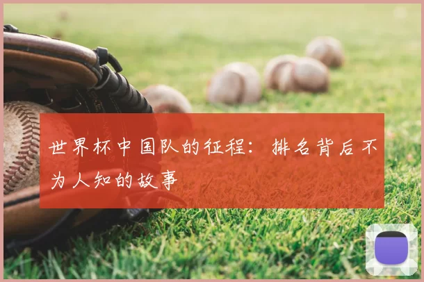 世界杯中国队的征程:排名背后不为人知的故事