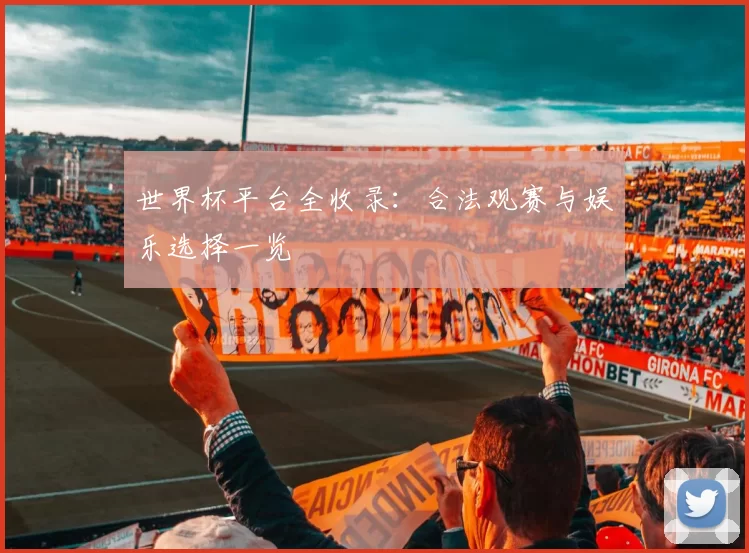 世界杯平台全收录：合法观赛与娱乐选择一览