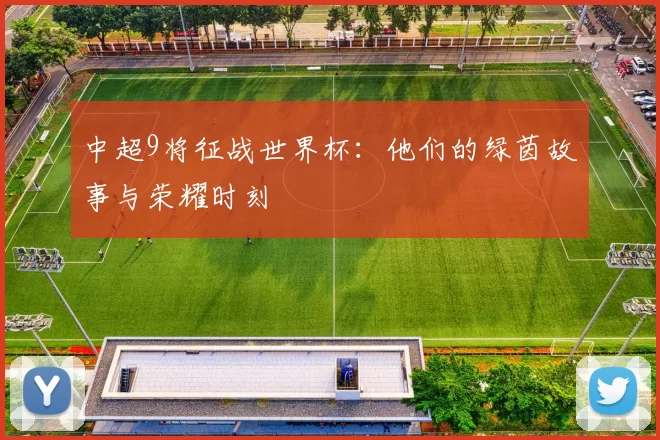 中超9将征战世界杯：他们的绿茵故事与荣耀时刻