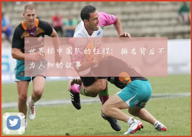 世界杯中国队的征程：排名背后不为人知的故事