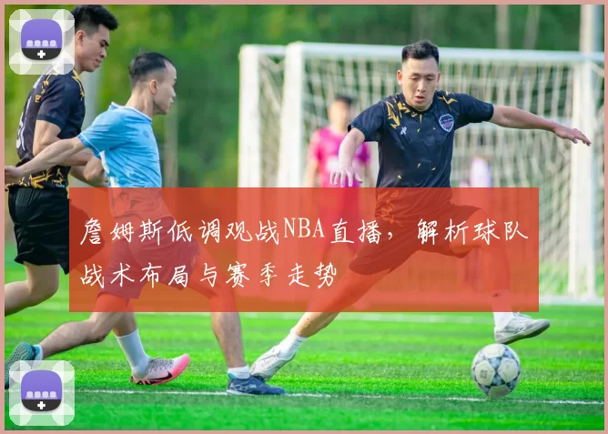 詹姆斯低调观战NBA直播，解析球队战术布局与赛季走势