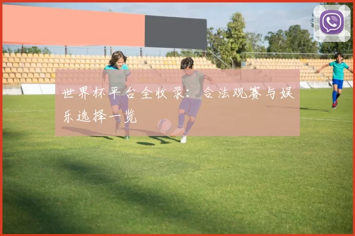 世界杯平台全收录:合法观赛与娱乐选择一览