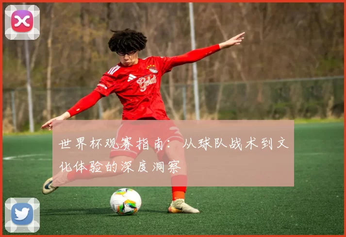 世界杯观赛指南：从球队战术到文化体验的深度洞察