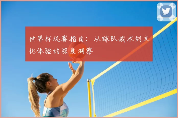 世界杯观赛指南:从球队战术到文化体验的深度洞察