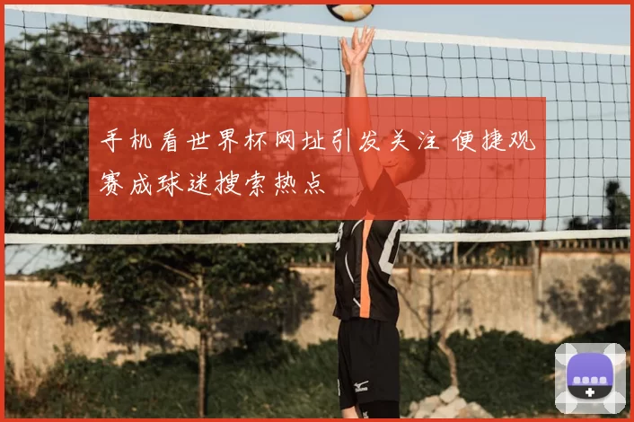 手机看世界杯网址引发关注 便捷观赛成球迷搜索热点