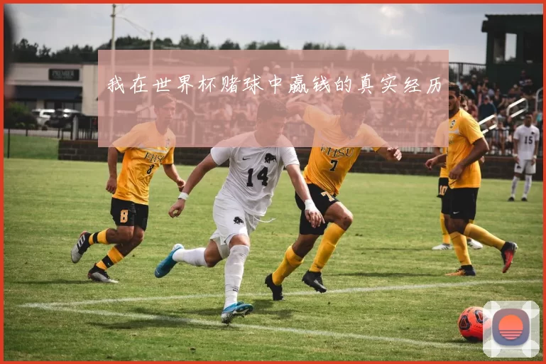 我在世界杯赌球中赢钱的真实经历
