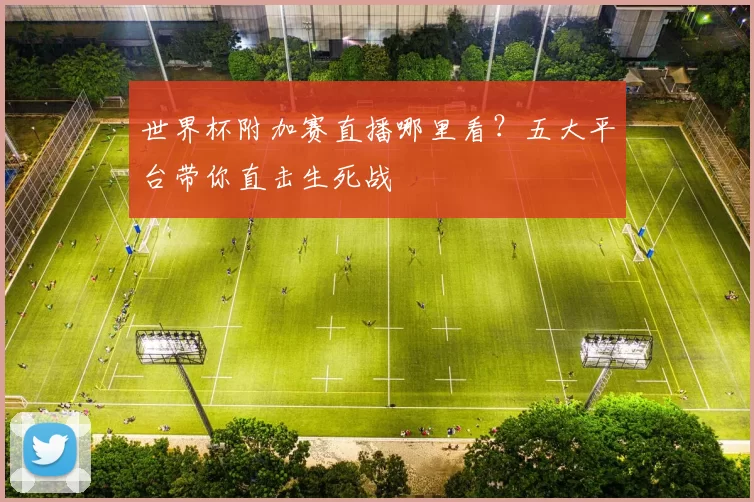 世界杯附加赛直播哪里看？五大平台带你直击生死战