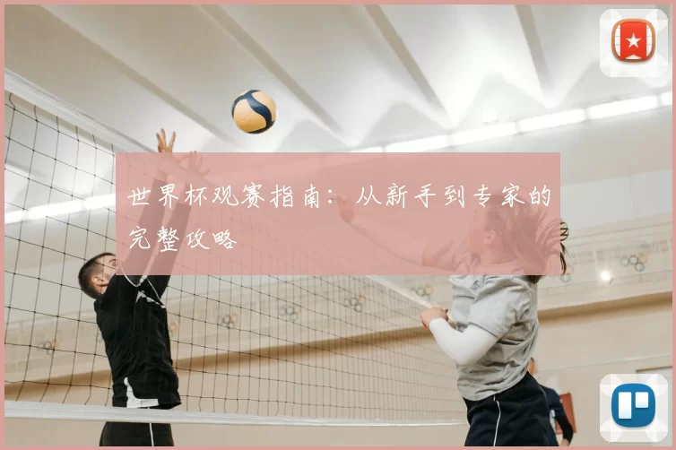 世界杯观赛指南:从新手到专家的完整攻略